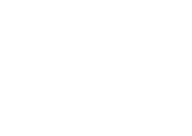 Levin Hoover Family Law Firm